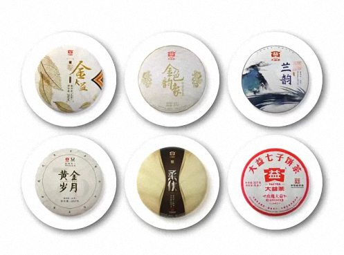 赣州教学点总裁二十四班班集体走访——大益茶专营店486.jpg