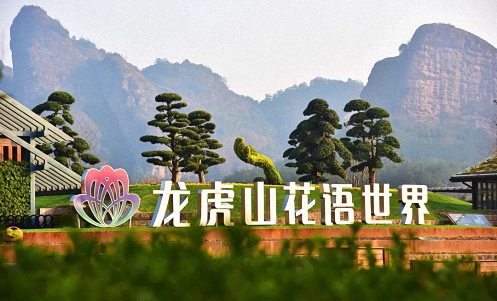 E企秀丨江财EMBA总裁班邵春荣同学企业——龙虎山花语世界