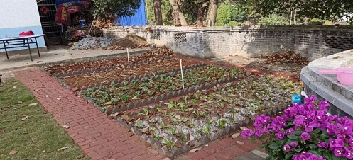同學有約，梅好時光——江西財大工商管理新商界7班師生梅嶺小聚105.jpg