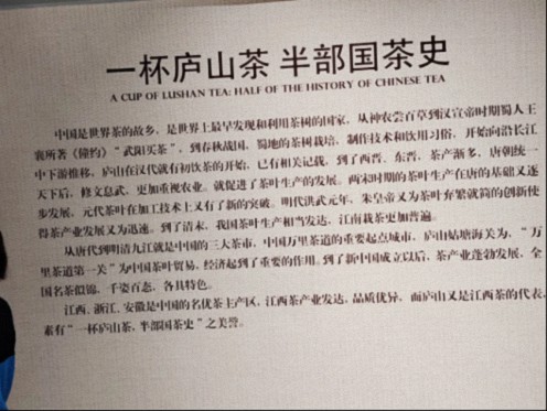 【班級活動(dòng)】江財(cái)新商界25班師生赴郭青云同學(xué)企業(yè)——東林雨露廬山云霧茶智造工廠走訪交流265.jpg